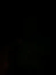 flaco251 webcam model stream image