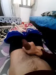 Alp212 webcam model stream image