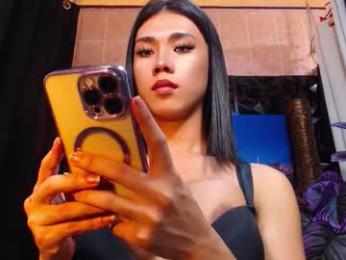 transpornidol webcam chaturbate model stream image