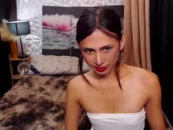 transpornidol webcam chaturbate model stream image