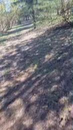 RUSbiNN webcam cam4 model stream image