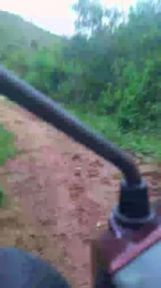 Daddy_capixaba webcam model stream image