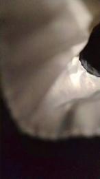 pene549 webcam cam4 model stream image