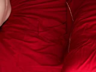 monetanzideo webcam model stream image