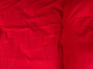 monetanzideo webcam model stream image