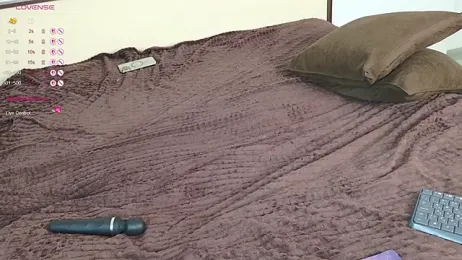 Hotel__California webcam model stream image