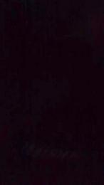 trainsx webcam model stream image