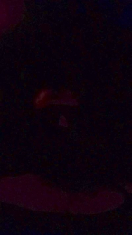 bumba6969 webcam cam4 model stream image