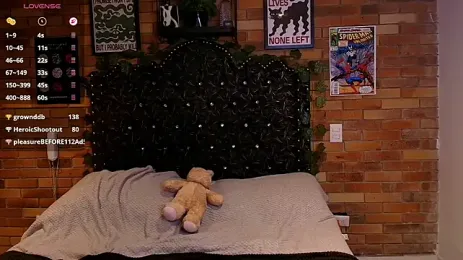 Any-Parcker webcam model stream image