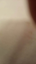 Wettpu webcam model stream image