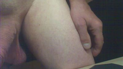 Hohlb webcam model stream image