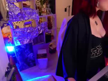 fox_and_dog webcam chaturbate model stream image