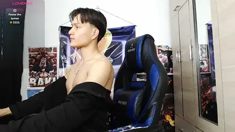 sr_jaeger webcam model stream image