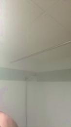 Pollon29_cm webcam cam4 model stream image