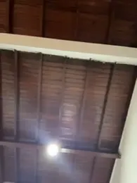 emiss_ webcam model stream image