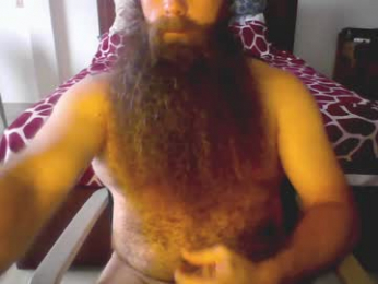 beardeddonkey88 webcam model stream image