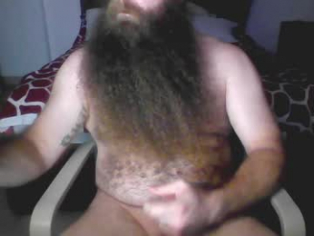 beardeddonkey88 webcam model stream image