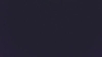 javilevel webcam model stream image