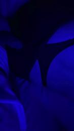 Zonaprohibida webcam model stream image