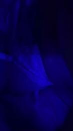 Zonaprohibida webcam model stream image