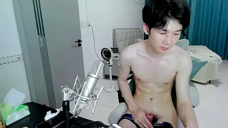 HJ-888 webcam model stream image