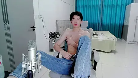 HJ-888 webcam model stream image