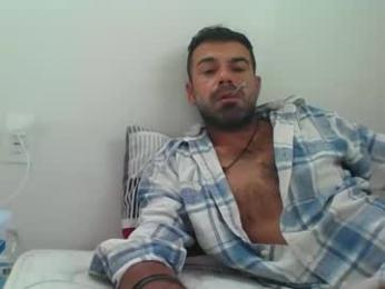 mercedes190d webcam model stream image