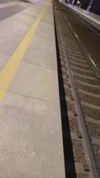 RealPublicManPl webcam model stream image