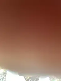 Salomon_koude webcam model stream image