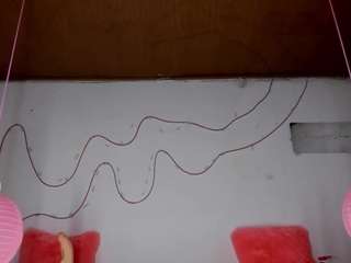 shannon-kane webcam model stream image