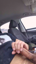 Date_night1 webcam cam4 model stream image