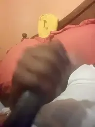 RearApiary webcam model stream image