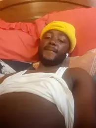 RearApiary webcam model stream image