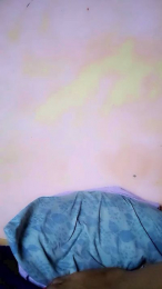 Elysca webcam model stream image