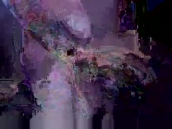 xxverabbyxx webcam chaturbate model stream image