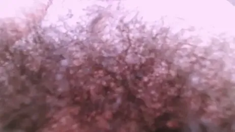 hairyzodb webcam model stream image