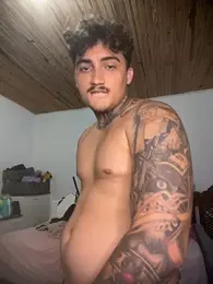 picasso_25CM webcam model stream image