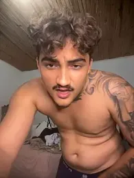 picasso_25CM webcam model stream image