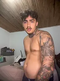 picasso_25CM webcam model stream image