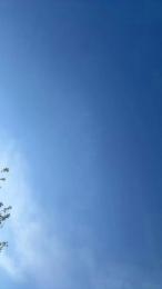 Nelsonlcs1990 webcam cam4 model stream image