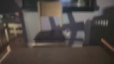 DominantDong webcam model stream image