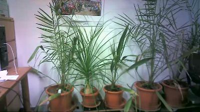 extremehotsexy webcam model stream image