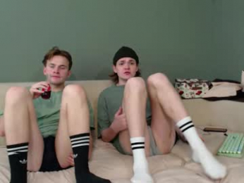 2nc_ webcam model stream image