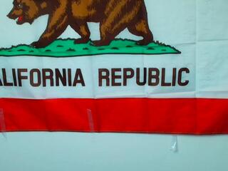 Simone Florenzi webcam model stream image