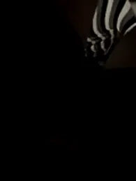 deshi_boybig webcam model stream image