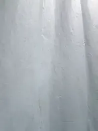 Genesis_18_ webcam model stream image