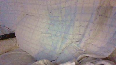 TettonaPelosa webcam cam4 model stream image