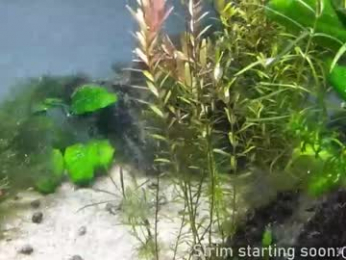 booker_baxton webcam model stream image