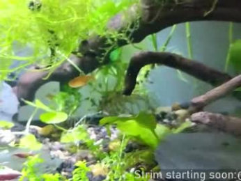 booker_baxton webcam model stream image