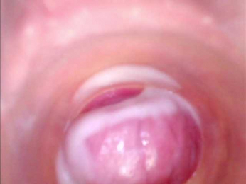 Shannon-kane webcam model stream image